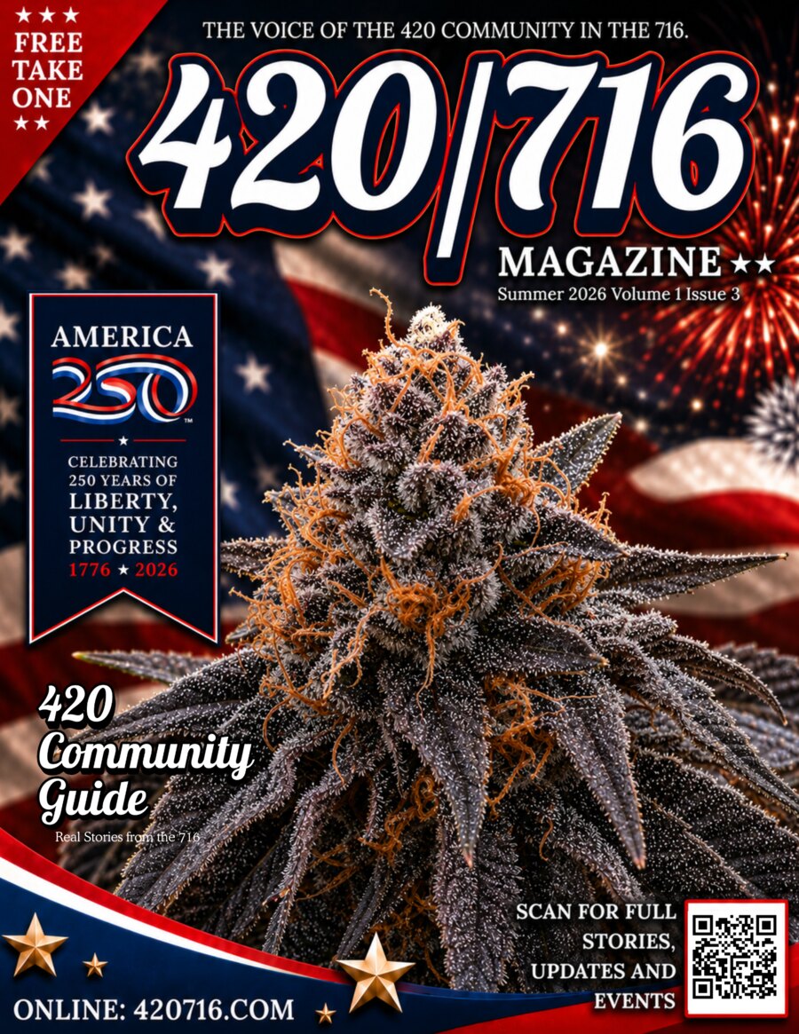 Issue #3 cover